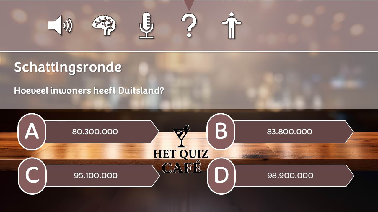 Pubquiz voorbeeld afbeelding